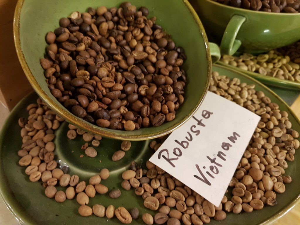 Robusta coffee beans from Vietnam at the Viennese Coffee Musem in Vienna, Austria.